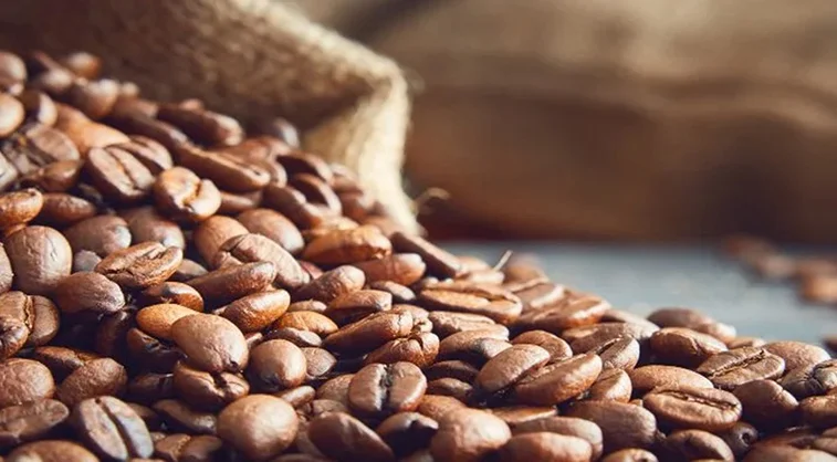 Distribución de café de calidad en Valencia